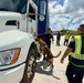 U.S. Coast Guard, partners conducts Multi-Agency Strike Force Operation at Port of Guam