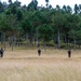 Strengthening Partnerships for Regional Security: U.S. and Malagasy Forces Complete Joint Combined Exchange Training