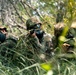 The 755th Military Police Company Sharpens CBRN Readiness in Arecibo