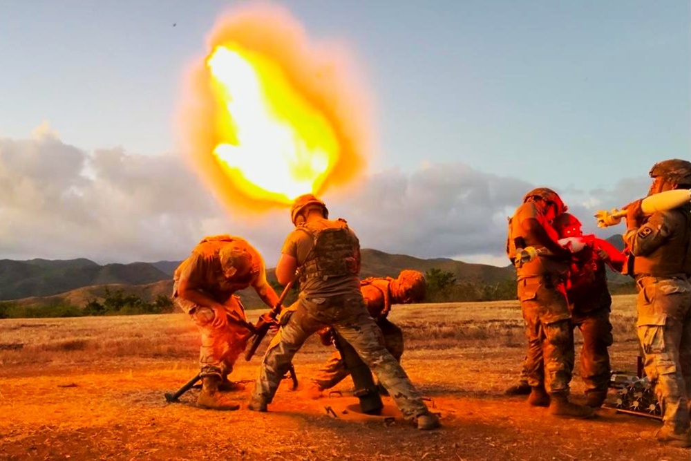The 296th Infantry Battalion Executes Night Mortar Live-Fire Exercise