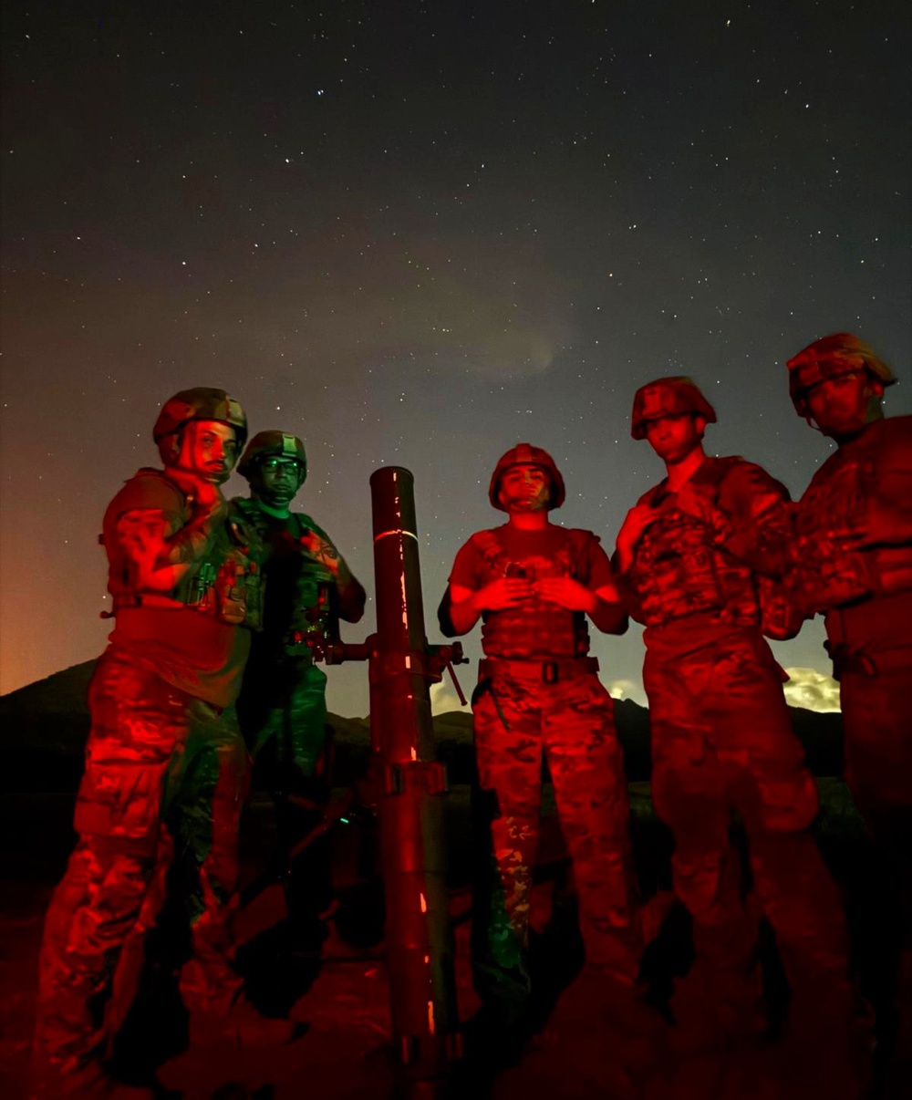 The 296th Infantry Battalion Executes Night Mortar Live-Fire Exercise