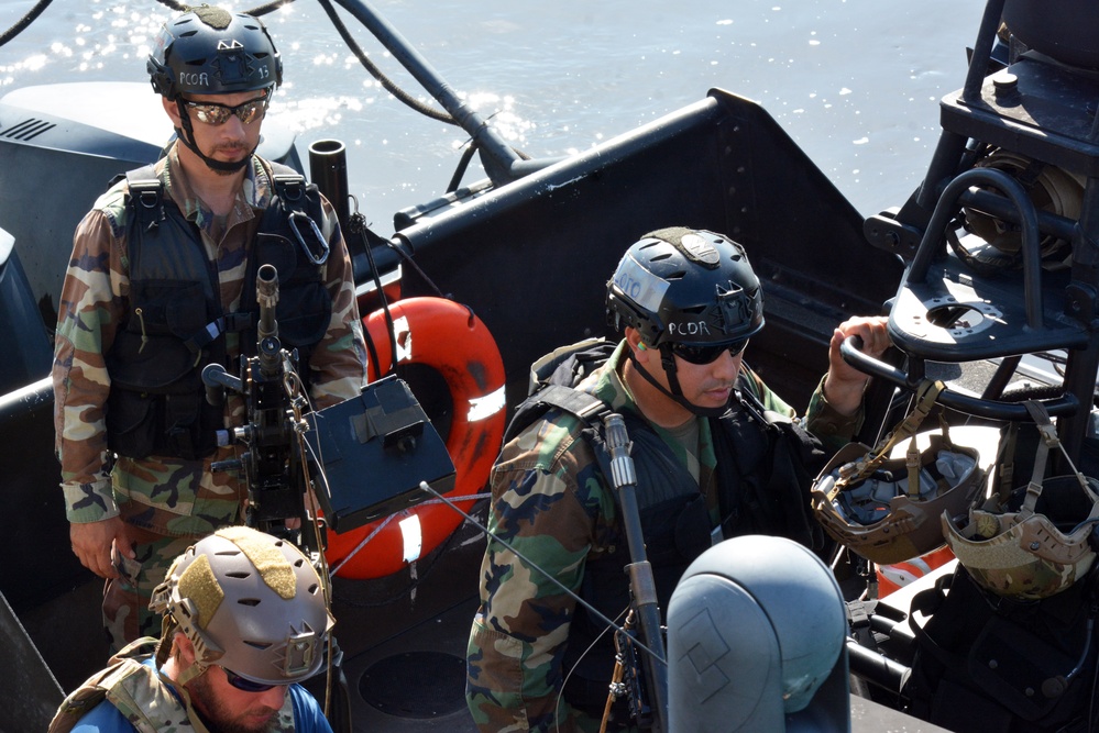 NAVSCIATTS PCO-R FTX