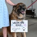 Homecoming: Deployed Sabers return to Spangdahlem AB