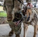 947th K9 of the Capital Competition, 2025
