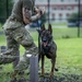947th K9 of the Capital Competition, 2025