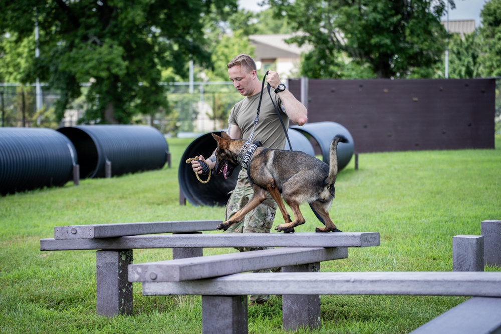 947th K9 of the Capital Competition, 2025