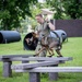 947th K9 of the Capital Competition, 2025