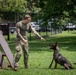 947th K9 of the Capital Competition, 2025