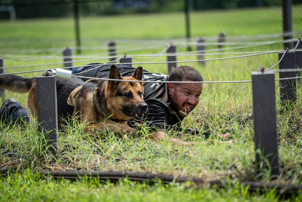 947th K9 of the Capital Competition, 2025