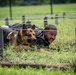 947th K9 of the Capital Competition, 2025