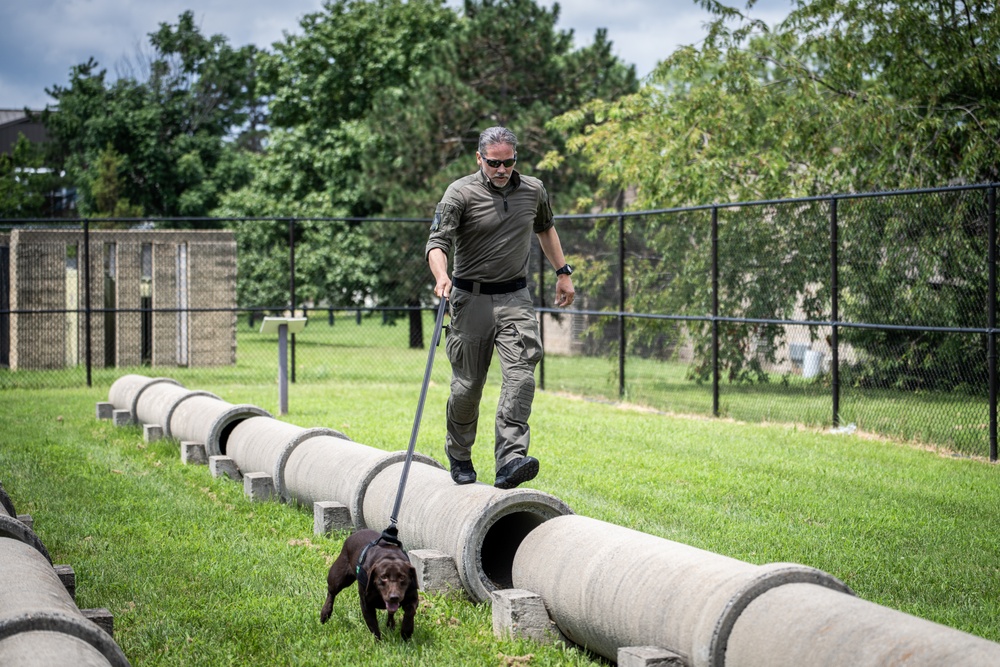 947th K9 of the Capital Competition, 2025