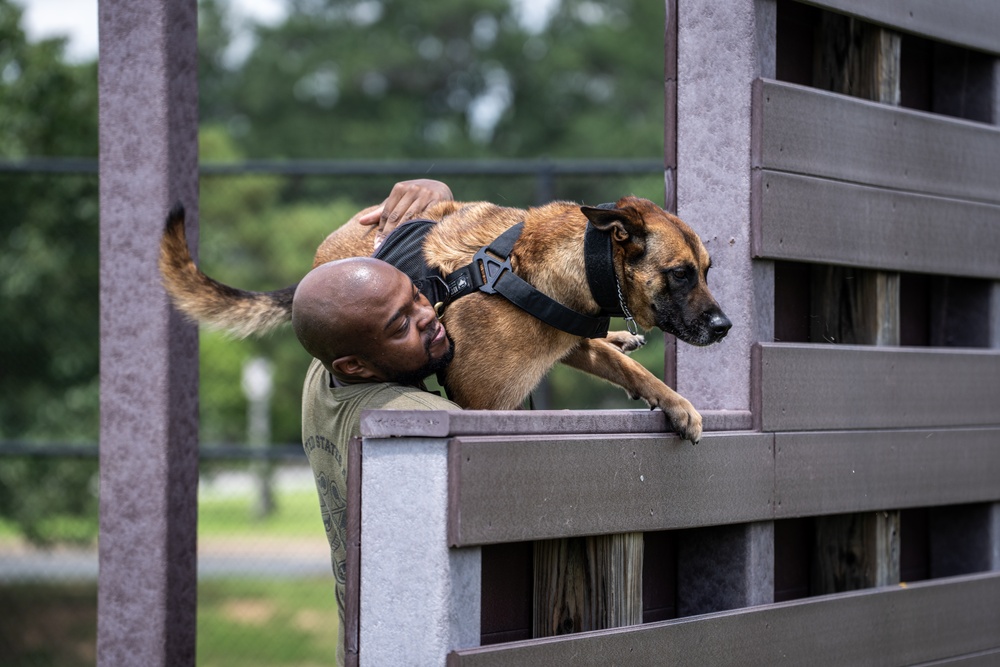 947th K9 of the Capital Competition, 2025
