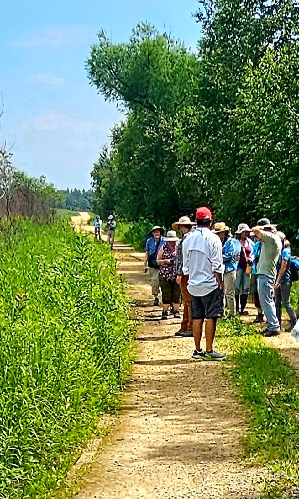 2025 butterfly field day held at Fort McCoy for group dedicated to natural resources management, care