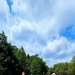 2025 butterfly field day held at Fort McCoy for group dedicated to natural resources management, care