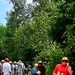 2025 butterfly field day held at Fort McCoy for group dedicated to natural resources management, care