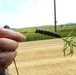 2025 butterfly field day held at Fort McCoy for group dedicated to natural resources management, care