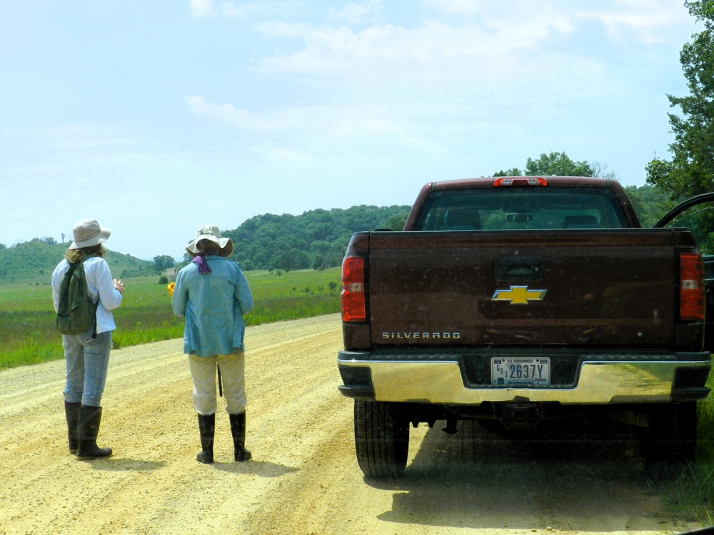 2025 butterfly field day held at Fort McCoy for group dedicated to natural resources management, care