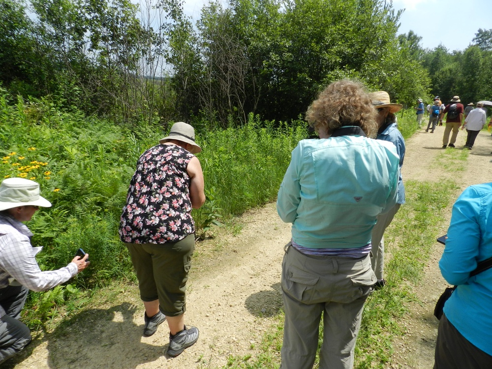 2025 butterfly field day held at Fort McCoy for group dedicated to natural resources management, care