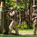 U.S. Marines Conduct a Stress Shoot During MRC