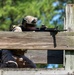 U.S. Marines Conduct a Stress Shoot During MRC