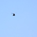 Iowa National Guard aviation troops hold training at McCoy’s Young Air Assault Strip, South Post