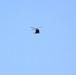 Iowa National Guard aviation troops hold training at McCoy’s Young Air Assault Strip, South Post