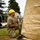 Airmen Train for Rapid Shelter Deployment in Field Exercise