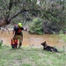 Czech partners assist Texas Army Guard during flood response efforts
