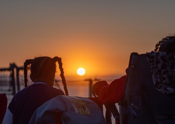 Boxer Celebrates The Fourth of July