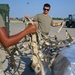 Thracian Star 25: 31st Munitions Squadron