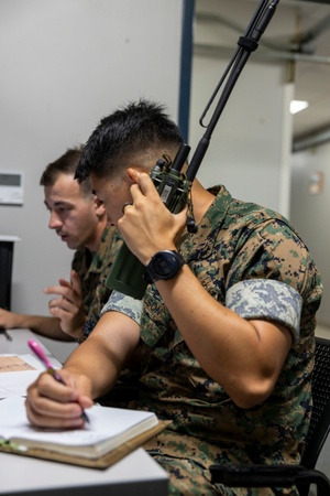 AFN Aviano Radio News: Common Remotely Operated Weapon Station