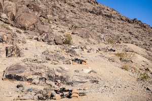 U.S. and Allied Soldiers Conclude Immediate Response 25 - News In One June 13, 2025