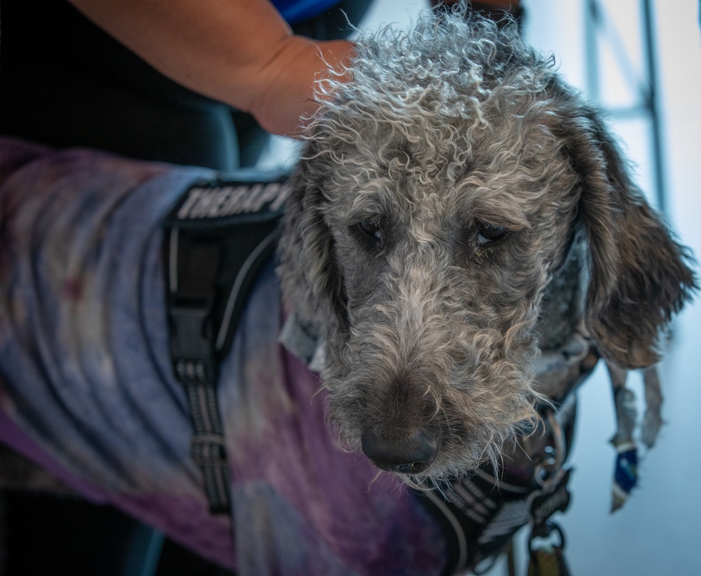 Wheelchair Rugby Semifinals at the 2025 DoD Warrior Games