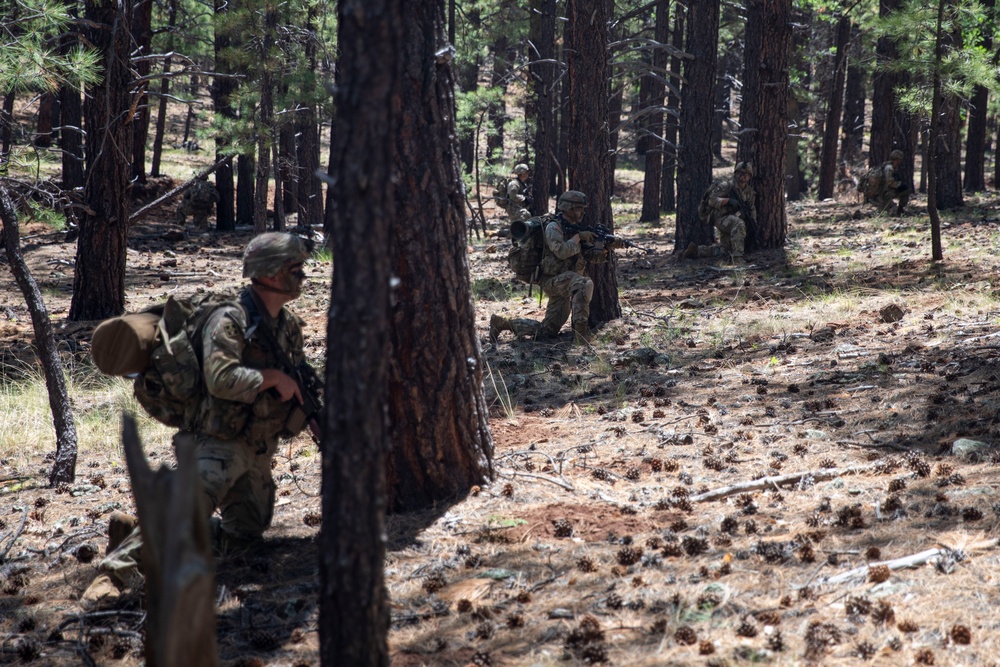 1-158th Infantry Light Leader's Course Field Training Exercise