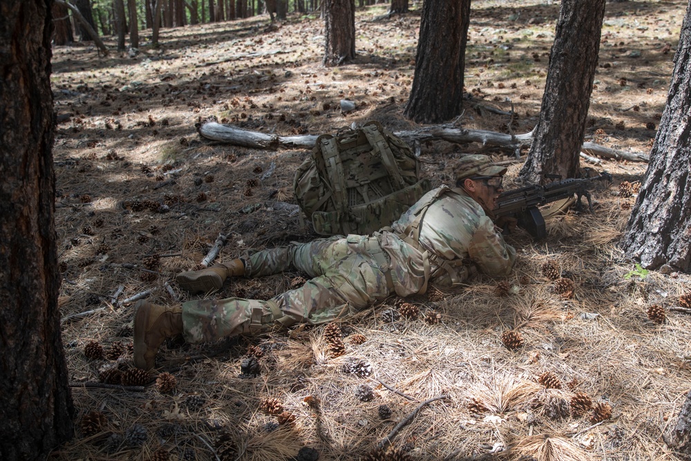 1-158th Infantry Light Leader's Course Field Training Exercise