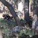1-158th Infantry Light Leader's Course Field Training Exercise