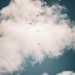 U.S. Army Soldiers Conduct Airborne Jump from C-130 During Recruitment Event in Hawaii