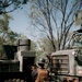 Talisman Sabre 25: U.S. Marines, Corpsmen and ADF conduct MASCAS drill