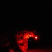 Talisman Sabre 25: U.S. Marines, Corpsmen and ADF conduct MASCAS drill
