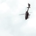 German Heer (Army) H145M