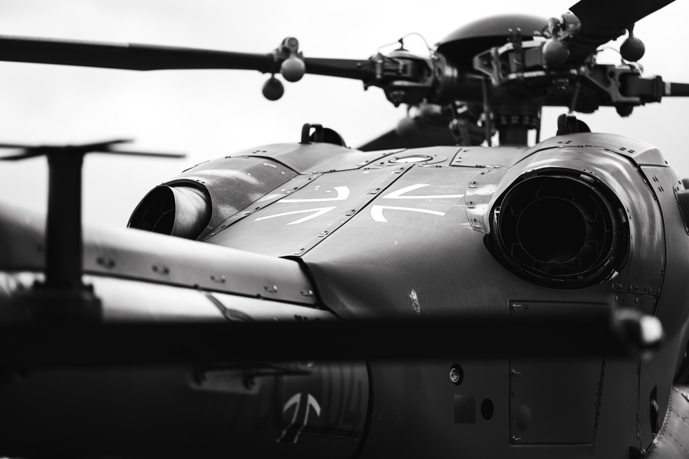 German Heer (Army) H145M
