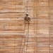 Rappel Training
