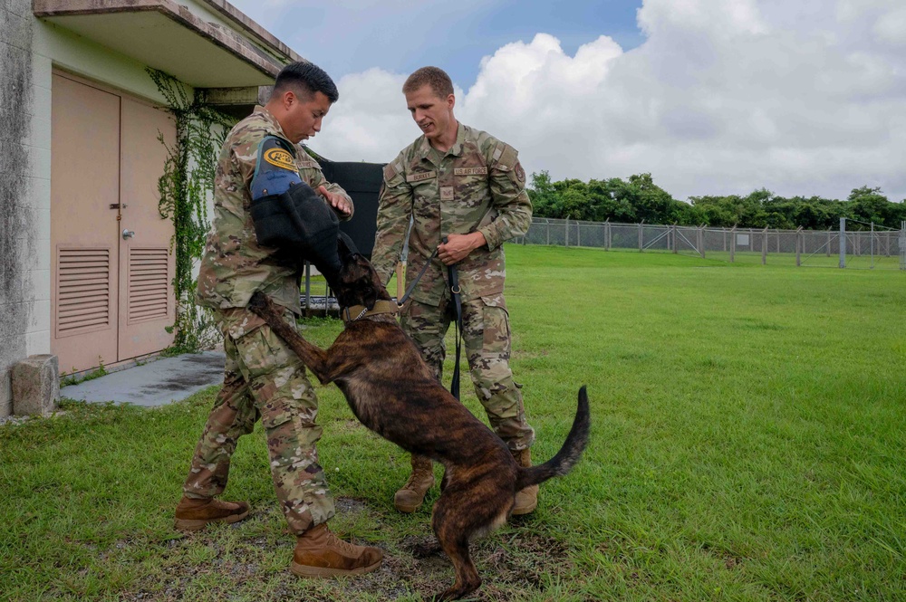 18th Security Forces Squadron sharpens readiness at Kadena