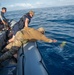 USS John L. Canley and Royal New Zealand Navy Conduct Talisman Sabre AUV Operations
