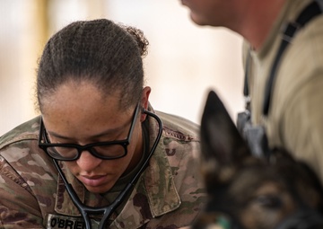 Look, Listen, Feel, Boop