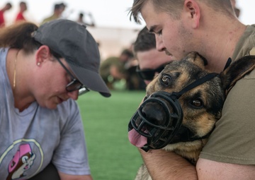 Look, Listen, Feel, Boop