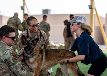 Look, Listen, Feel, Boop