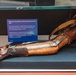 “Carry On:” The History and Innovation of Physical and Occupational Therapy in Military Medicine Exhibit