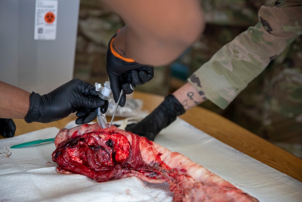 KFOR practice airway management at Camp Bondsteel, Kosovo