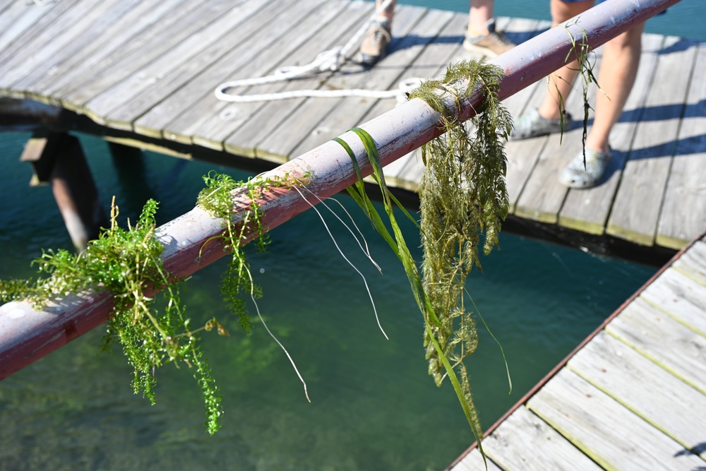 Native Species Pulled from the Niagara River